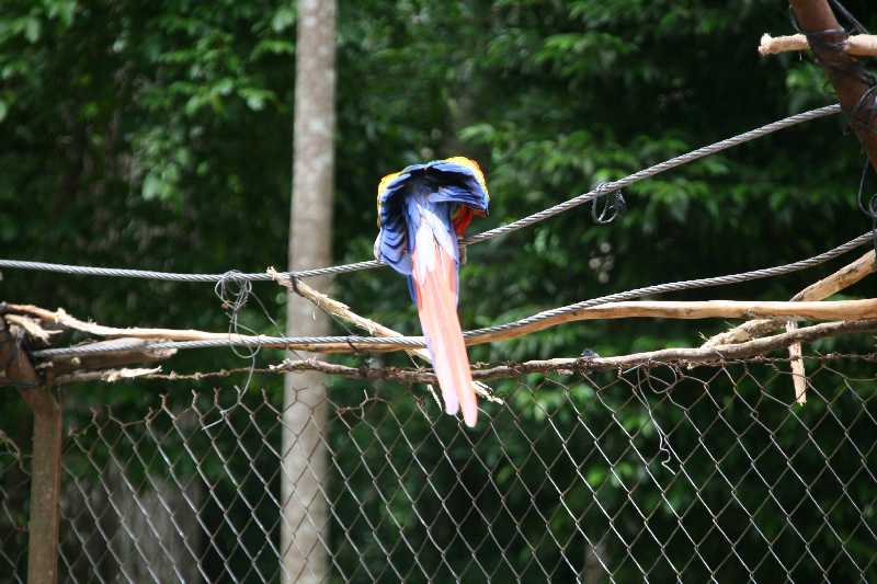 Mexico & Guatemala 2010 - 0855